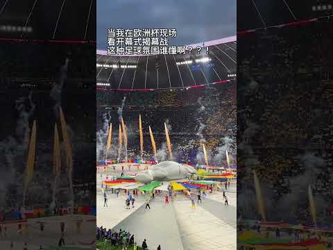 中国男子冰,壶队激战德,国队,开云后台,后台管理系统,平台数据管理,系统管理平台,后台服务